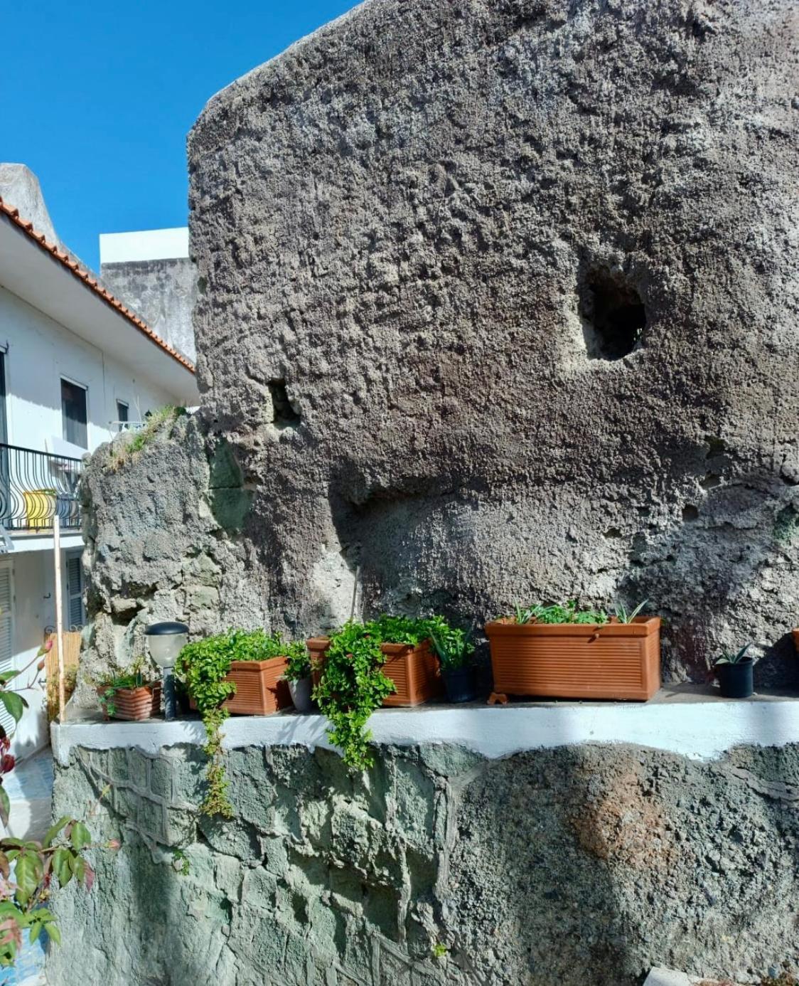 Casa Delle Rose Apartment Ischia Exterior photo